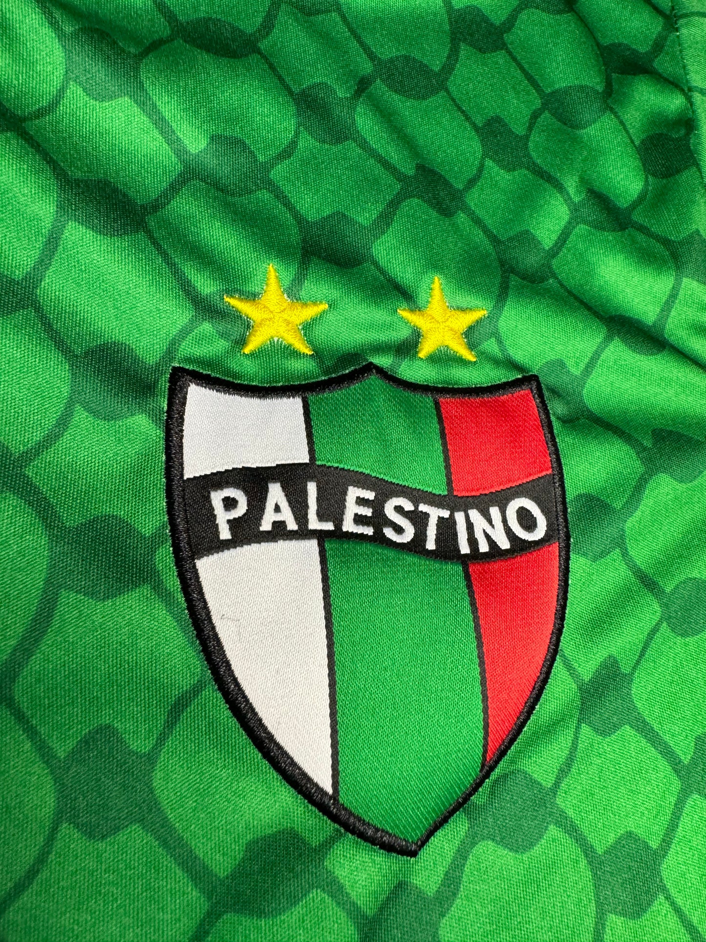 FC Palestino Green Soccer Jersey